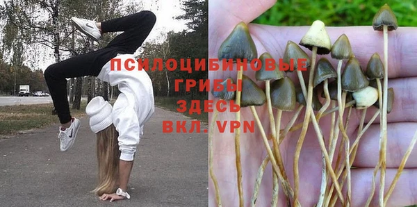 амфетамин Вяземский